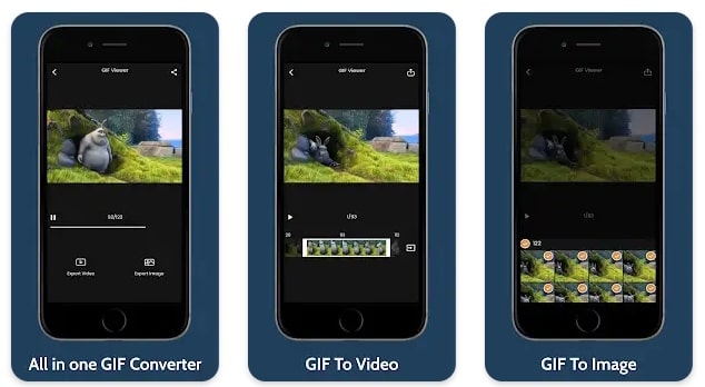 convert Gif to video